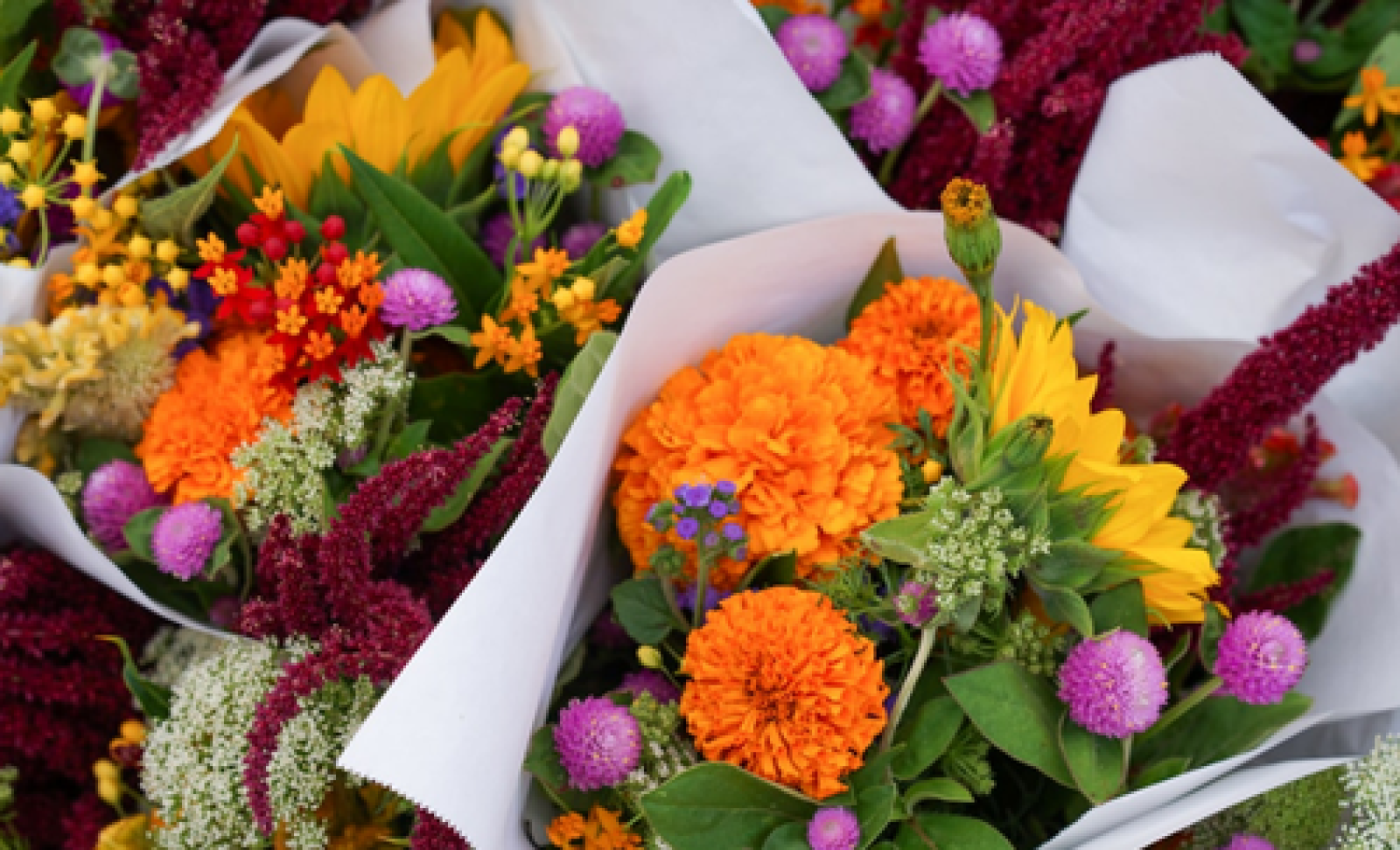 Image_, Fonds de commerce, Poitiers, ref :7243