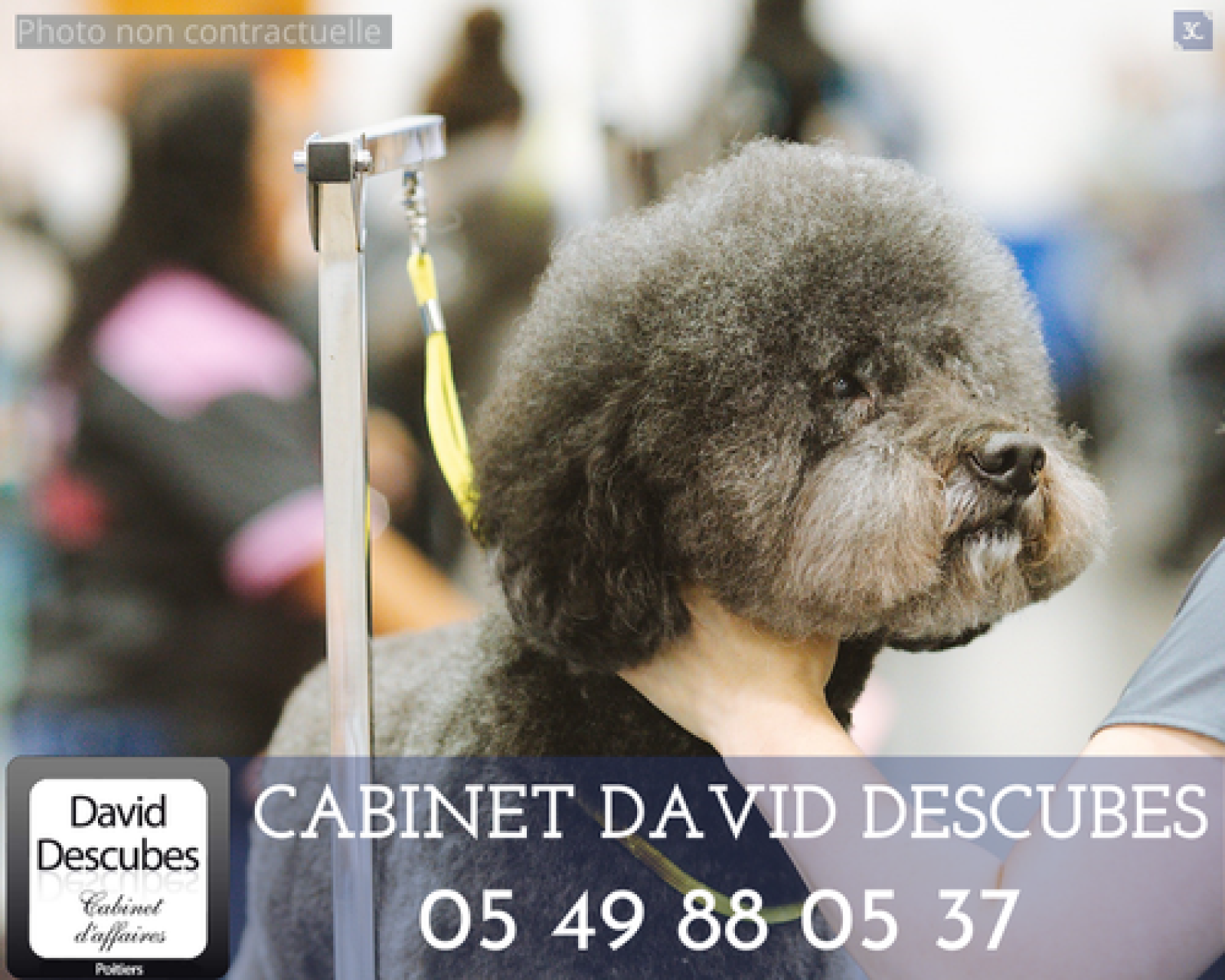 Image_, Fonds de commerce, Poitiers, ref :7239