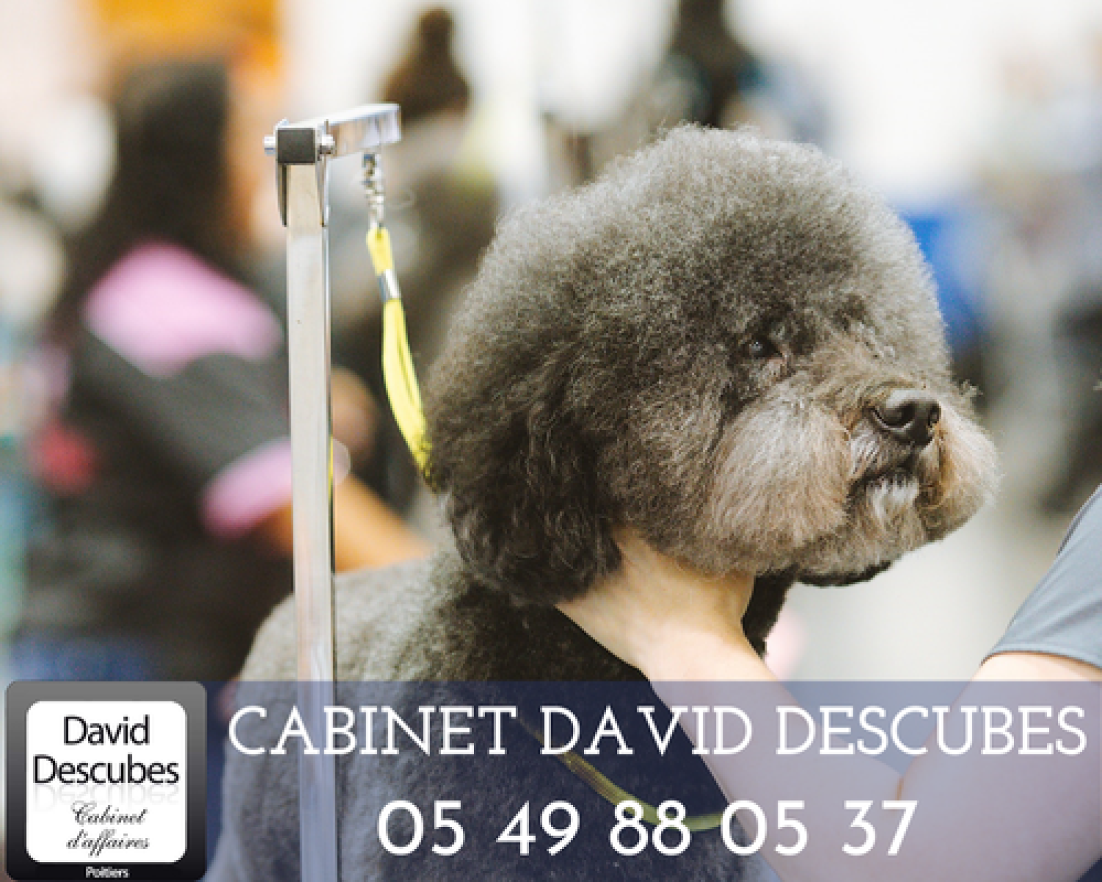 Image_, Fonds de commerce, Poitiers, ref :7239