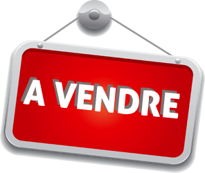 A VENDRE LOCAUX COMMERCIAUX